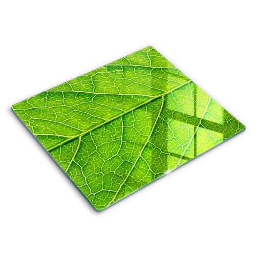 Protection plaque induction anti-rayure 60x52 cm en verre