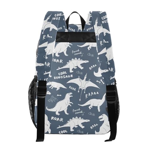 Cute Cartoon Dinosaurs Clear Backpack, PVC Transparent School Backpack Lightweight Student Book Bags Capacity Clear Bag3