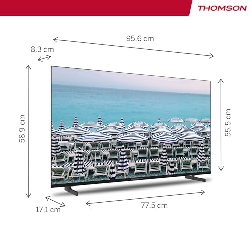 Thomson 43 Zoll (109 cm) LED Full HD Easy TV - Kein Smart - Hotel Mode, USB, HDMI, Triple-Tuner (Kabel - Satellit - Antenne), AV IN, CI Plus, A Plus Panel - 43FD2S13