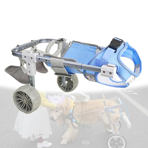 Carrito con ruedas para perros con discapacidad y soporte ajustable