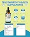 Lysin Katze - L-Lysin Tropfen für Katzen und Kätzchen, Kätzchen Immunsystem, Schnupfen, Linderung von Allergien, Niesen, Nahrungsergänzungen mit Vitaminen und Mineralien, Kolostrum, Taurin