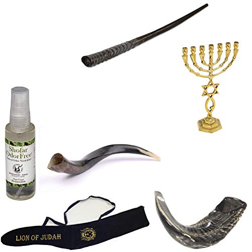 Set chophar de koudou d'exception et ménorah de collection avec accessoires