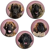 Merchandise for Fans