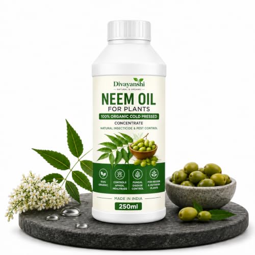 Image of Divayanshi Neem Oil for Plants | 100% Organic Cold Pressed Concentrate | Natural Insecticide & Pest Control Spray for Indoor & Outdoor Plants | Controls Aphids, Mealybugs & Fungal Issues-250ml