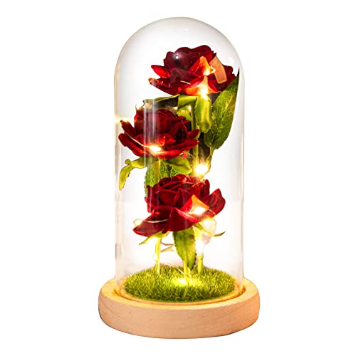 Yunseity Cúpula de Cristal con Bendición, Regalo Romántico, Luz LED para el Día de la Madre y Inauguración de la Casa, Vidrio Plástico, Color Madera Negra (Yunseitygfdxyuib10-2)