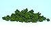 Clump Foliage 57.7 Cubic Inches-Medium Green