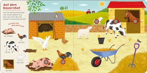 Such mal, hör mal! Bei den Tieren: Mit 25 Geräuschen | Soundbuch mit Tieren zum Suchen im Wimmelbild mit dazugehörigen Sounds für Kinder ab 18 Monaten