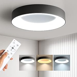 Annaror LED Flush Mount Ceiling Light with Remote Control, 24W 3000K-6500K Dimmable Ceiling Light Fixture, Modern Led Ceiling Lights for Bedroom Kitchen Laundry Room, 11 Inch Black