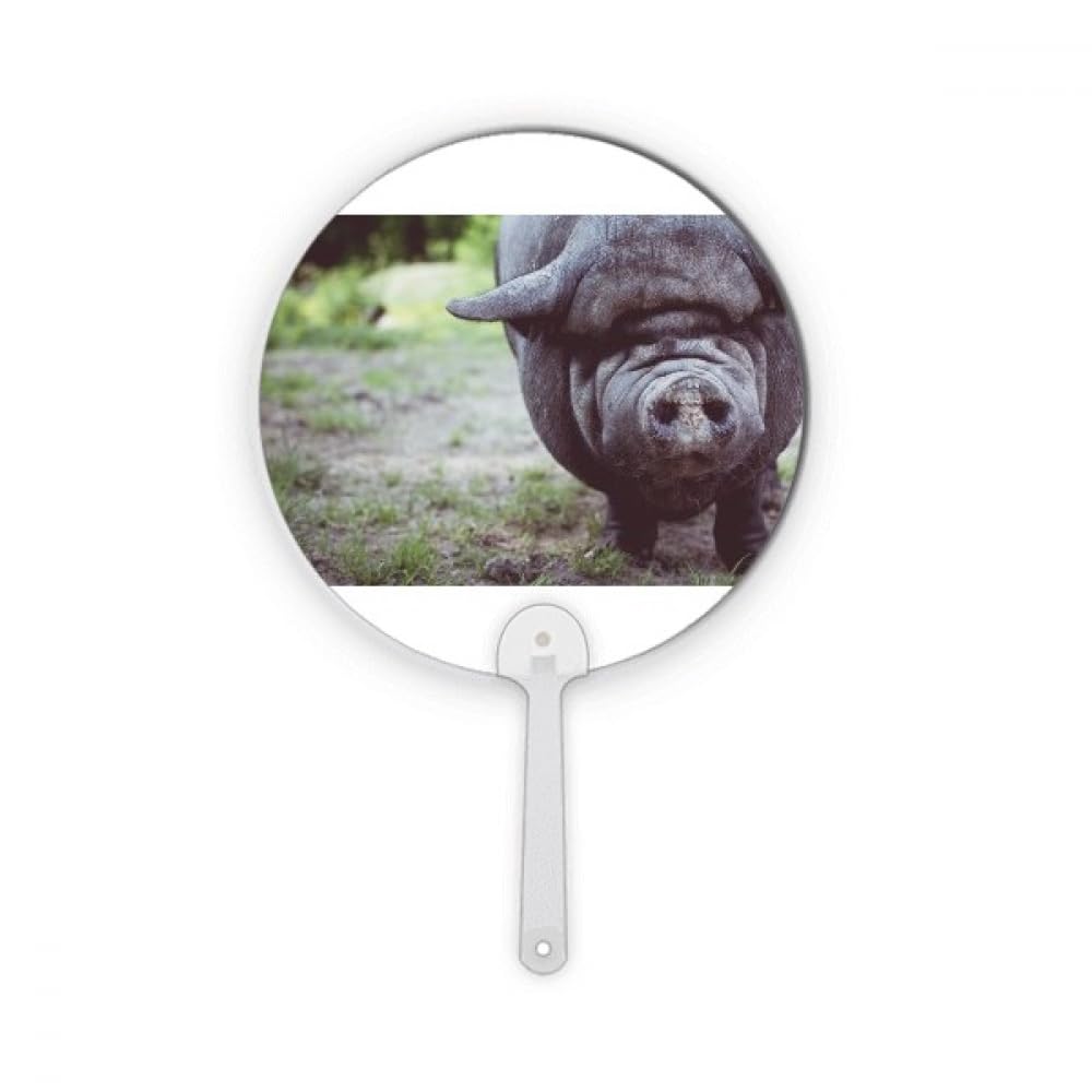 Éventail rond en plastique pour photographie d'animaux domestiques taille M