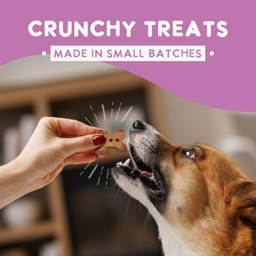 Health Extension Oven-Baked Dog Treats, Salmon Recipe – Gluten & Grain-Free, Superfood-Infused, Crunchy Biscuits for Puppy Training (2.25 lb) - Thumbnail 4