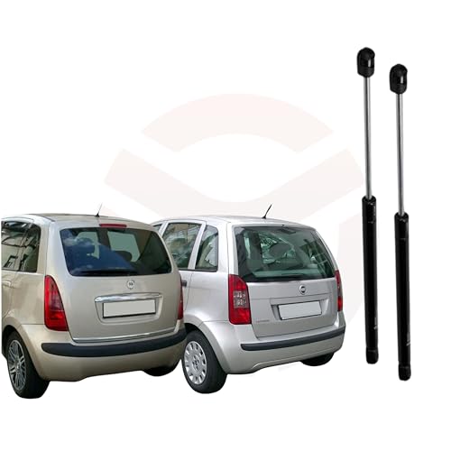 Ricambycar Paire de ressorts à gaz amortisseur hayon arrière compatible avec Fiat IDEA 2003-2012 et Lancia MUSA 2004-2007 (pas de restyling)