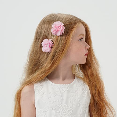 30Pcs Baby Girls Alligator Hair Clips Chiffon Flower Hair Barrettes Accessories For Kids Toddler Teens (01) #TOP3