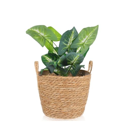 Tagtight Cesta para Plantas de Algas Marinas, Maceta, Recipiente para Plantas Tejidas, jarrón Redondo, decoración de jardín, Cesta de Mimbre Decorativa, Cesta de Mimbre para macetas