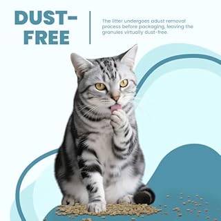 Basic Zeolite Cat Litter Pellets 7lbs & Cat Pee Pads 10 Count - Refill for Tidy Cats Breeze Litter System | Premium Stainless Steel Shifting Tray