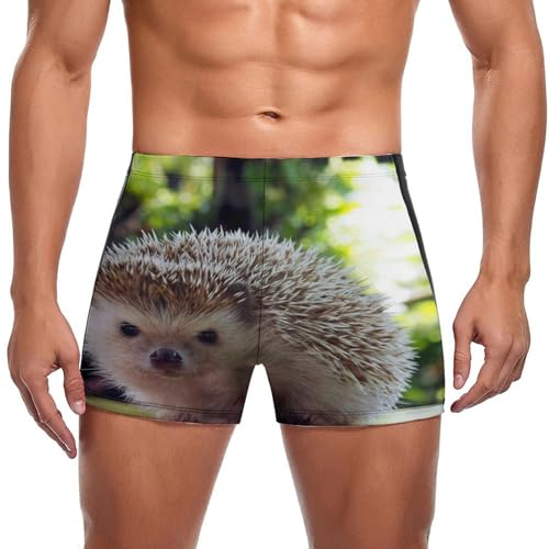 Slip de bain hérisson pour homme le short de natation confortable