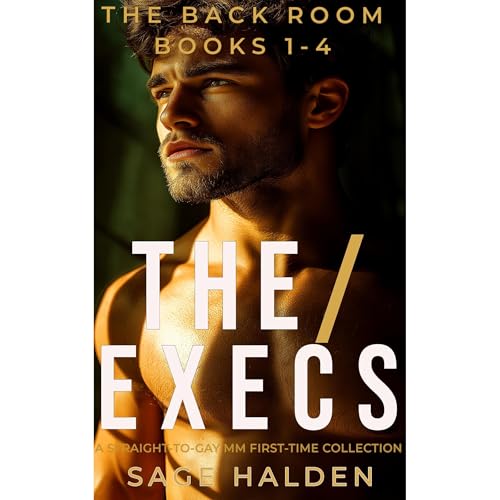 THE EXECS Audiolibro Por Sage Halden arte de portada