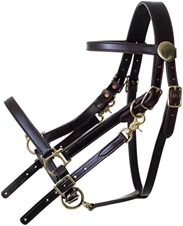 Tucker Standard Halter Bridle w/Chrome Horse BRN