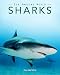 Sharks: Amazing Pictures & Fun Facts on Animals in Nature (Our Amazing World Series)