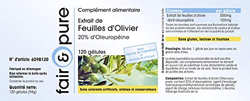Extrait de feuille d'olivier standardisé à 20% d'oleuropéine - 4