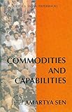 p+r anlage bahnhof celle  Commodities and Capabilities