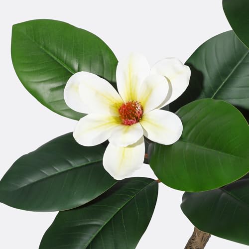 GAOMON 6FT Artificial Fiddle Leaf Fig Tree with Magnolia Flowers, Faux Plants with White Planter Pot, Faux Floor Plant, Indoor and Outdoor Rubber Tree for Home Office Decor