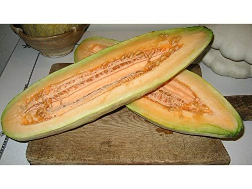 Seeds Germinazione dei semi: 40+ Semi: Cantalupo di seme: Seme banana cantalupo Seed Fresh trasporto LIBERO : Seeds Only