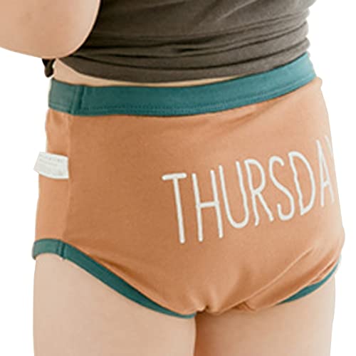 DINGDONG'S CLOSET Toddler Kid Girl Cotton Days of The Week Underwear 7-Pack Panties Briefs Underpants2