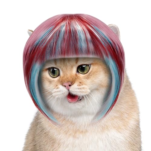 Pet Wig For Cat | Jt L 蕨  |  LN^[ RXv wbhEFA ~ | j V[ nEB NX}X ʐ^Be ƑcR