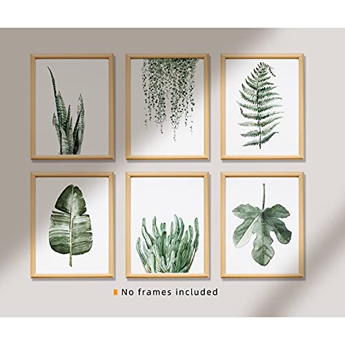 Plant Prints Unframed Posters Wall Art For Living Room Decor, 8X10 Poster Canvas Prints Set Of 6, Botanical Prints Wall Art Leaf Posters Sage Green Decor #TOP4