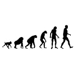 Theory of Evolution Darwain Ape Human 6' Vinyl Sticker Car Decal (6' Black)