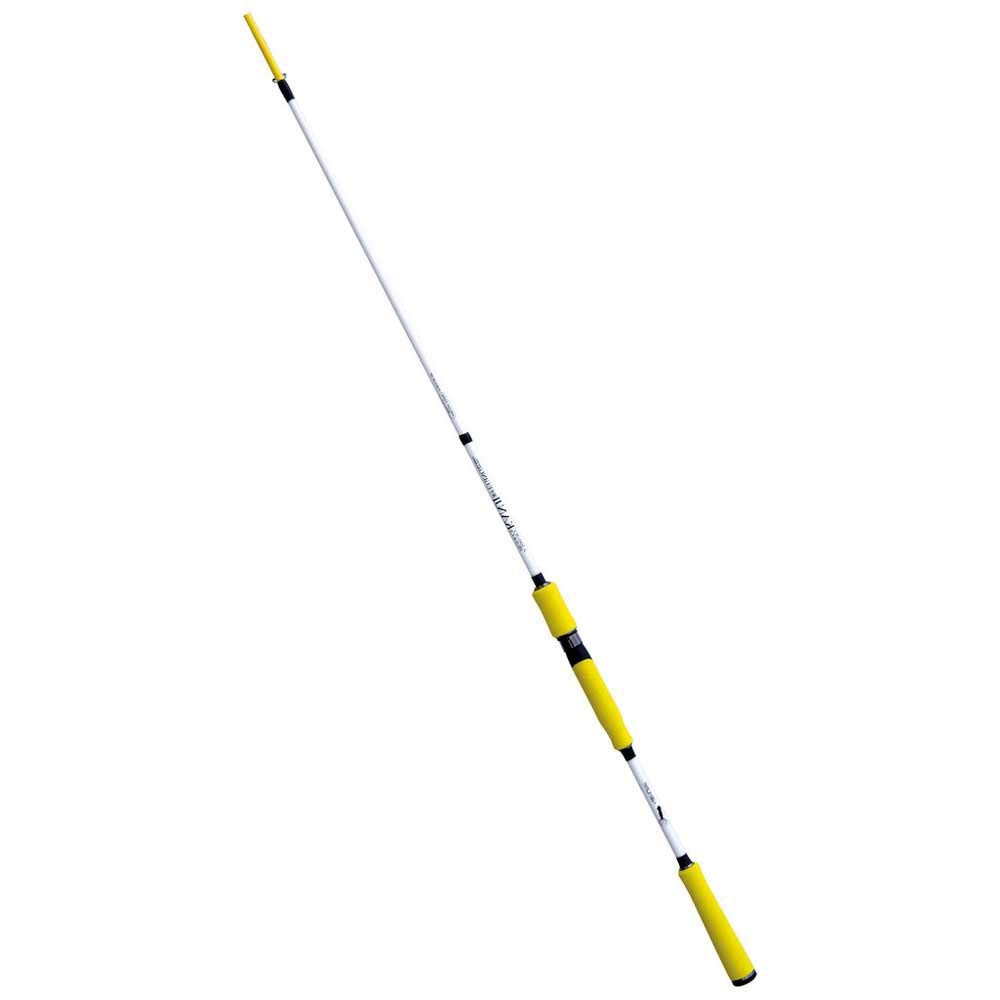 agc Nomura Canna Pesca Eging SW Kanji 250 Seppia cefalopodi