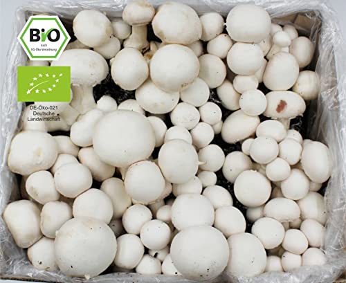 Pilzkultur Bio Champignon Komplettset 5kg zur Selbstzucht von Pilzen