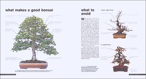 Bonsai Life Histories: The Lives of over 50 Bonsai Trees in Photos and Words      Hardcover – March 2, 2002