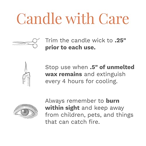 Candle-Lite Scented Candles, Pumpkin Nutmeg Pie Fragrance, One 10 Oz. Three Wick Aromatherapy Candle With 20-40 Hours Of Burn Time, Orange Color #TOP6