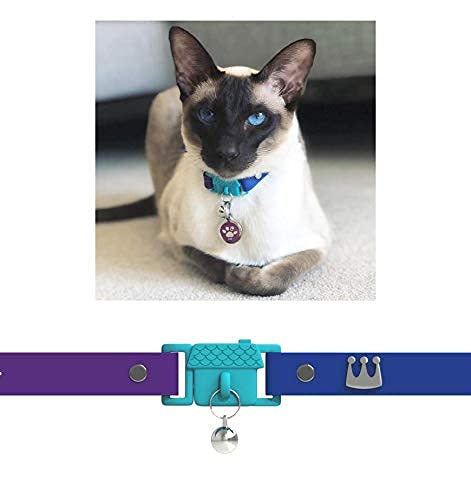 quick release kitten collar