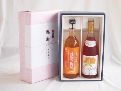 ӂ̑蕨{bNX a̎RY썂~ƍYI̔~ƍYCZbg(kC̎ v~ALx[C Ì(kC)720mla̎R Ԏh̔~12x 720ml