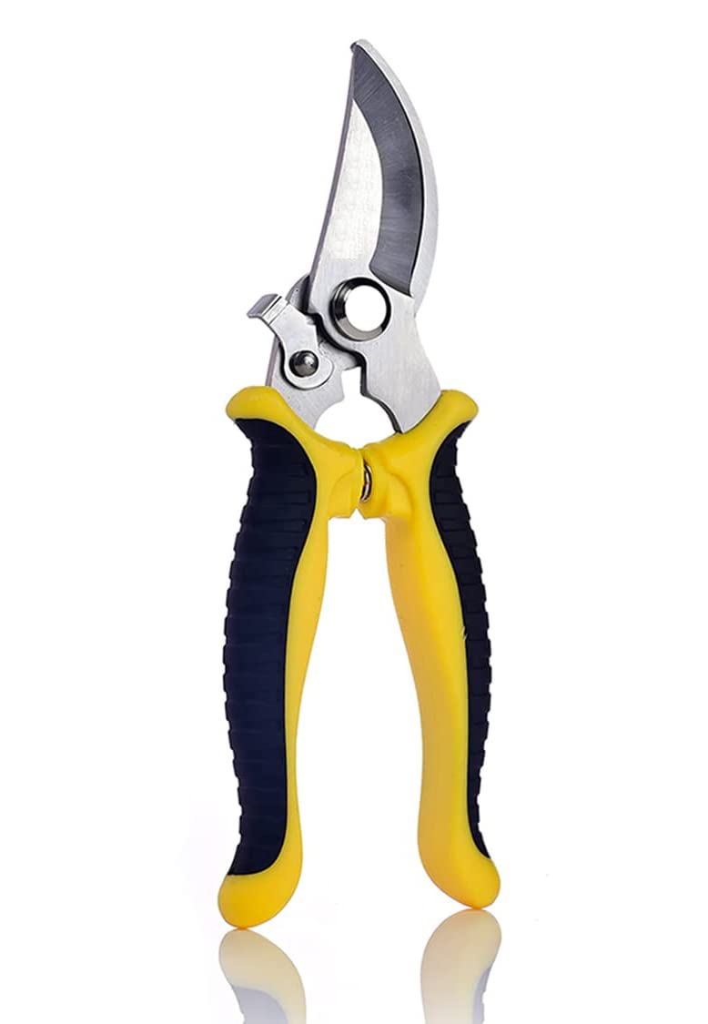 XSteez Flower Cutter | Garden Pruner Cutters | Garden Shears | Garden Scissors | Pruning Shear | Branch Trimmer | Flower and Leaf Cutter | Wood Cutter | Bypass Pruner | Gardening Tools | 1 PCs | (B0BJ2ZDS6F) Amazon Price History, Amazon Price Tracker
