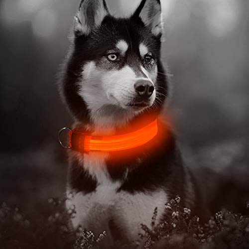 Reflective Light Up Dog Collar - Usb Rechargeable Glowing Pet Safety Collar, Adjustable Led Dog Collar Make Your Dogs Safe& Seen In The Dark (Orange-3 Reflective Strip, Large) #TOP6