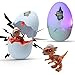 Wekity Hatching Eggs Dinosaur Toys,Dinosaur Eggs Hatch with Realistic Dinosaur Action Figure,LED Light and Sound,Creative Educational Toy Party Favor Xmas Easter Birthday Gift for Kid (Ceratosauru)