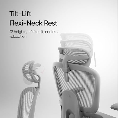 Image of AeroMesh Ergo Chair, Adjustable Armrests & Headrest, Lumbar Support, Breathable Mesh Back Fabric, Customizable Seat Depth & Height, Office Chair,120 kg Capacity- Grey