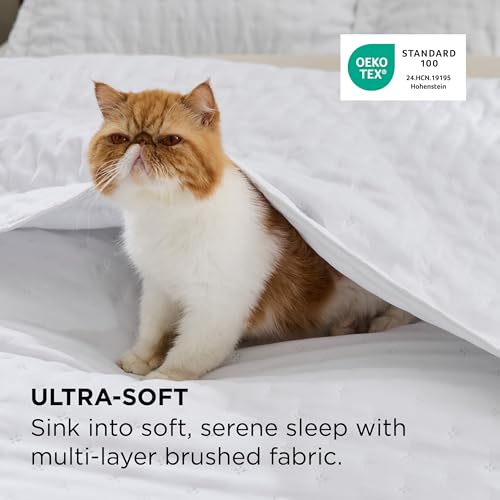 Image of Bedsure Quilts Queen Size - Lightweight Comforter Queen Size for Summer, Bright White Bedspread Quilt with Clover Pattern, Soft Ultrasonic Coverlet, Modern All-Season Bedding, 90 x 96 Inches