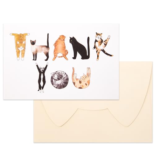 Crisky 25 ʔL TL[J[h Jbg 炵At@xbg LeB L m[g oN ƃXebJ[t ނ܂͔ޏ̃X[c @