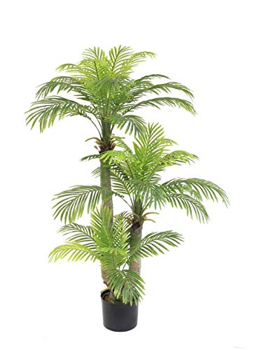 AMERIQUE Gorgeous and Detailed 5' Tropical Phoenix Palm Tree Artificial Silk Plant, with Nursery Plastic Pot, Super Quality