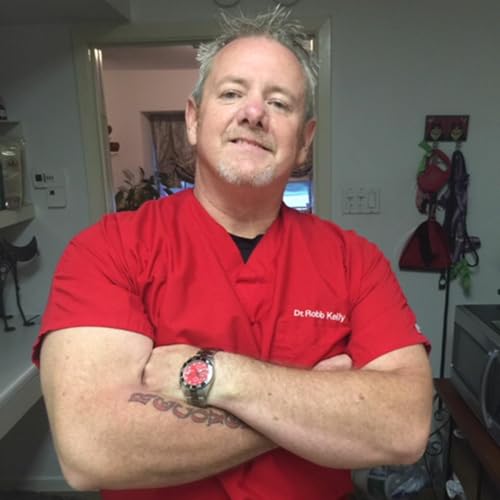19: Dr. Robb Kelly - On Addiction and Recovery cover art