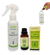 Small manufacture image 14