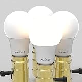 AmeriLuck 3-Way LED Light Bulb A19, Multi Wattage 50-75-100W Equivalent, Low-Medium-High Setting, Om
