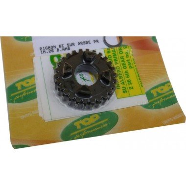 Piñón de 6 grados de 26 dientes sobre eje primario. Motor AM6