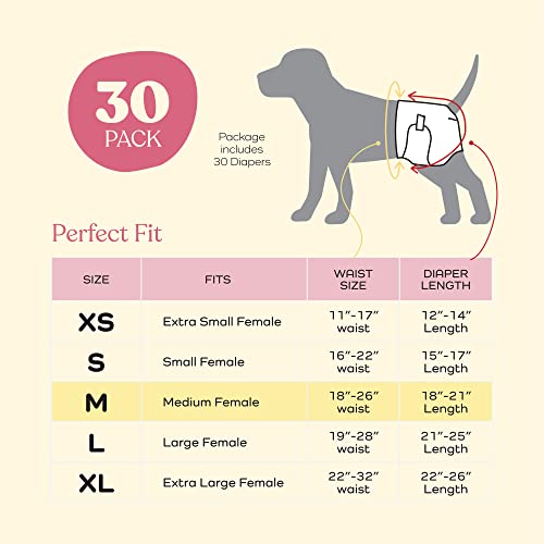 Super Absorbent Female Dog Diapers - 30-Pack Comfortable Disposable Doggie Diapers - Flashdry Gel Technology & Wetness Indicator - Leakproof Diapers For Dogs In Heat, Excitable Urination, Incontinence #TOP5