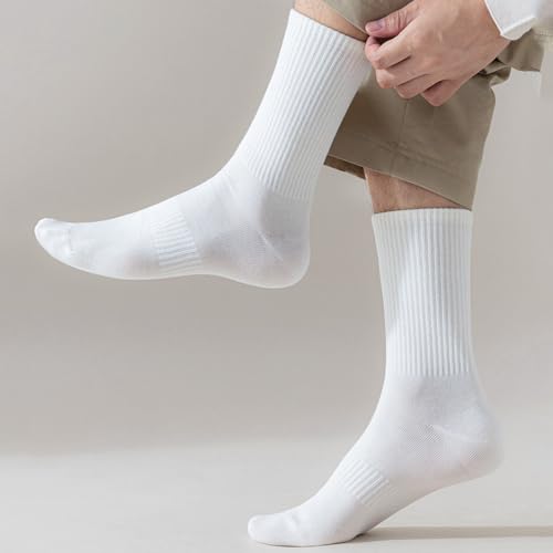 RRiody 10-Pair Womens Comfort Toe Support Ankle Socks Thin Cotton Gym Socks Athletic Mini Crew Socks Short socks3