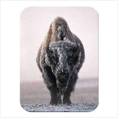 Tuftop Buffalo-Ghost of the Plains Cutting Board Size: Medium (12"x16")